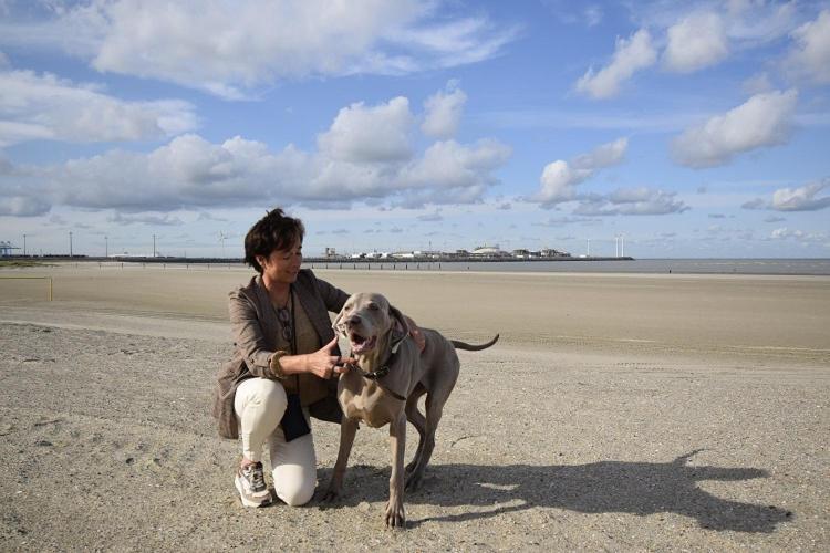 Hotel Ter Duinen - La Guera Knokke-Heist Esterno foto